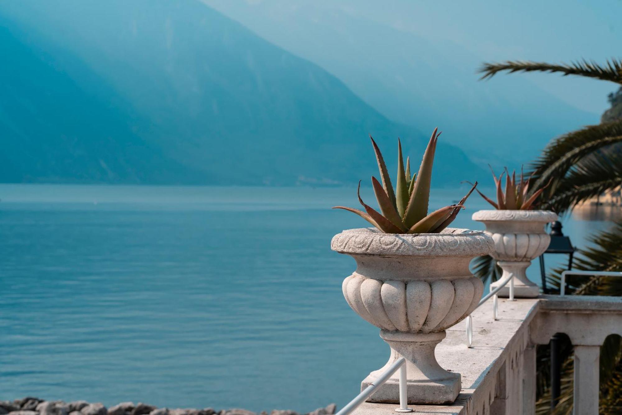 Bellavista Lakefront Hotel & Apartments Рива-дель-Гарда Экстерьер фото
